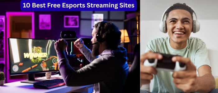 10 Best Free Esports Streaming Sites You Didn't Know Existed (Watch Like a Pro!)